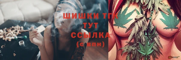 стаф Армянск