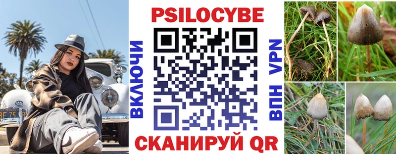 Галлюциногенные грибы Psilocybine cubensis  Саров 